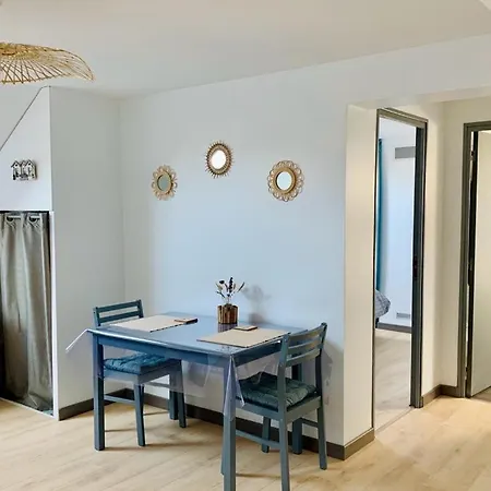 Le Cosy, T1 A 50m De La Mer, Centre *