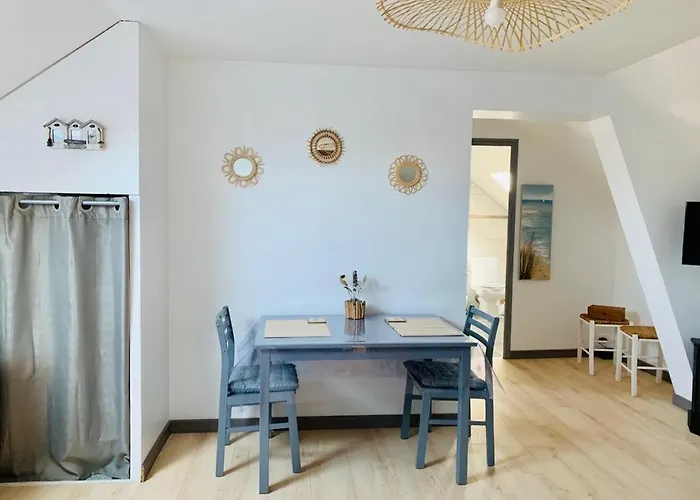 Le Cosy, T1 A 50m De La Mer, Centre *